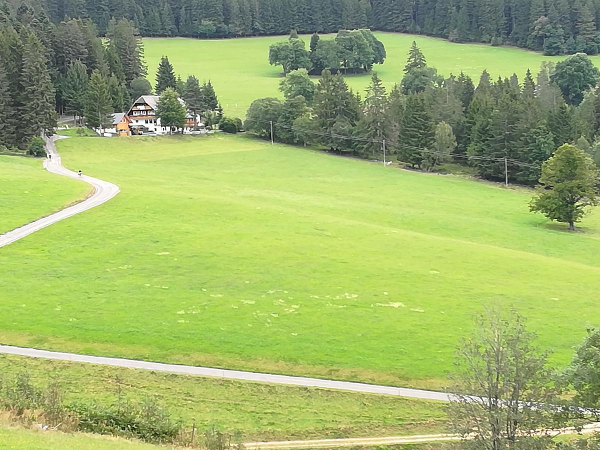 Schwarzwaldgasthaus Salenhof Hotel Titisee-Neustadt Exterior photo